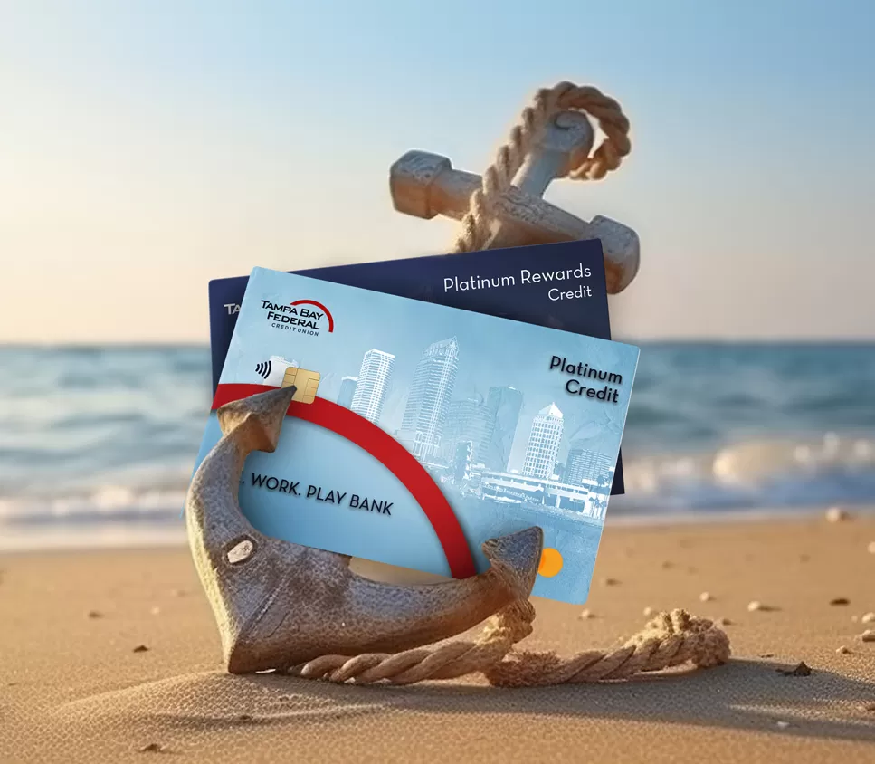 Rewards Credit Card Holder 